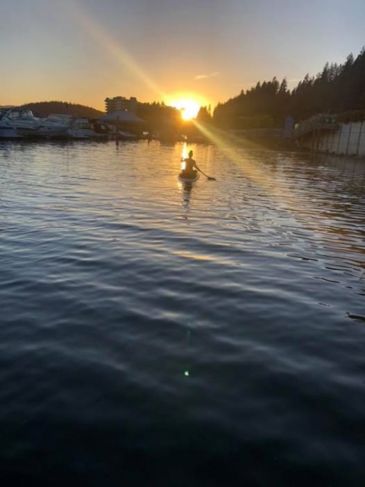 Marina at golden hour